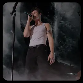 #shawnmendes #shawniewhy 