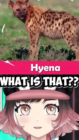 When VTubers Try to LEARN about LIFE! #fyp #vtuber #animals