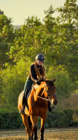Evening rides in the Summer☀️ #equestrian #rootd #horseshow 