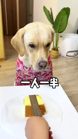 cute