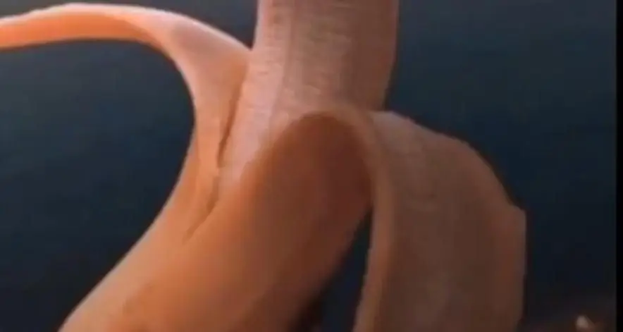 #memelucurandom #tekatekisulit #fyp #gamasukakal😁 hewan apa ini? 