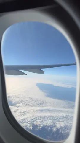 Do what you love and do it often