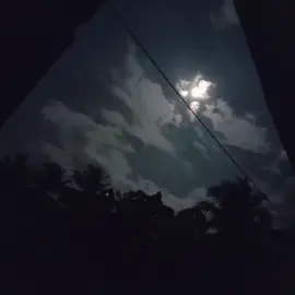 Terkadang sendiri itu menyenangkan namun sendiri juga menyedihkan,🙂 #fyp #fypシ゚viral  #fypシ #anime #sadvibes  #introvert #introv #malam #gelap #sendirilebihbaik  #storywhatsapp #storyanimeestetik 