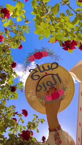 #صباح_الورد_و_السعادة_لاجمل_قلوب🌹🦋 #صباح_الورد #صباح_الخير2023 #صباحياتي_جميلة #صباحيات_رايقه #صباحيات_جميلة #صباحيات #صباحيات_حب #صباحيات_رومانسية❤️☺️ #صباح_الحب #موسيقى_حب #صباحيات_للحبيب #صباحيات_ورد #نثر_الورود #الورود #صباحو #صباحوووو_عسل #صباحوو #صباحوووو 