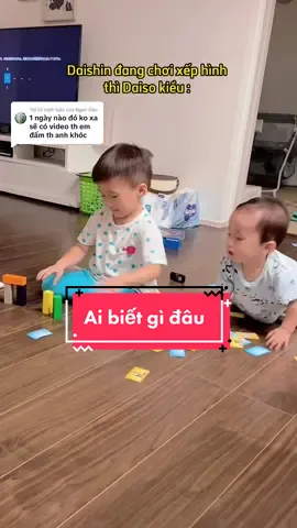 Trả lời @Ngọc Dân  Ai biết gì đâu #haihuoc #daishin #phandinhtoan #xuhuong 