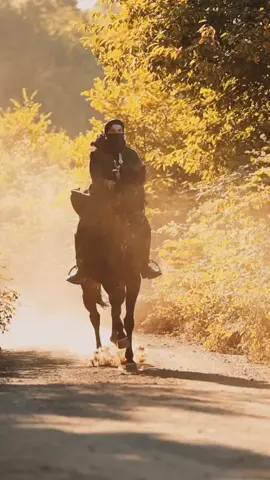 #ترند_السعودية #خيل🐎 #فارسات_رماية #خيل_وخياله #فارسات #تركيا_خيل #فارسات_سعوديات #خيل_وخياله🐎 #فارسات_رماية_على_الخيل 
