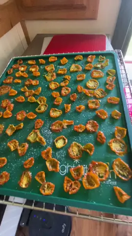 Making dehydrated cherry tomatoes! @Gilgal Farmstead  . #homesteading #arkansas #growfoodnotlawns #tomato #dehydrator #tonatochips #snacks #preserving #preservingfood #driedtomatoes #cherrytomatoes 