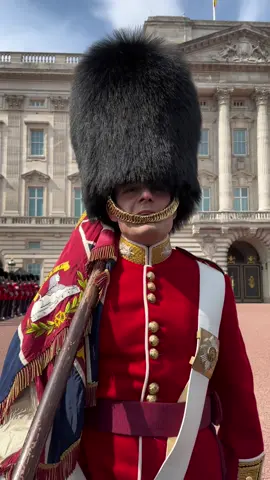 Changing of the Guard #kingsguard #guard #buckinghampalace #london #fyp