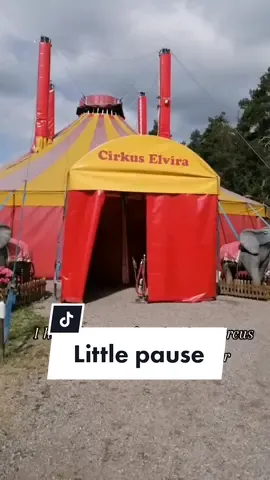 Hi all, sorry for the long silence! I have been doing my other job, performing on a slackrope in a Swedish circus for the summer. I will be back with hobbyhorse content in the beginning of August when I return back to Finland. 🦄✨ #hobbyhorsing #käpphäst #keppihevonen #hobbyhorse #stickhorse #steckenpferd #circus