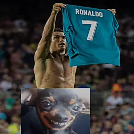 sai dae cachorro 😾kkkkkkkkkkk#realmadrid #cr7 #fy #cristanoronaldo #meme 