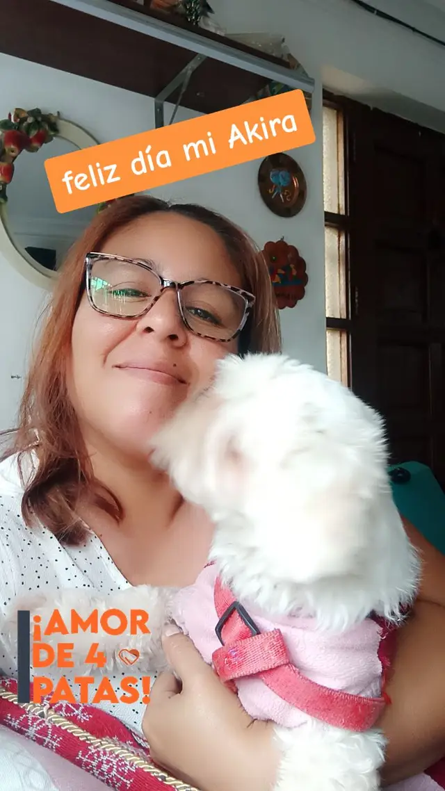 #diadelperro #amor4patas 