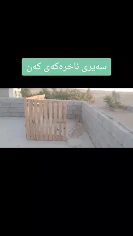 #کولانەیـــفەرخەکانم #بابڕوات🥺😂 #فۆڵۆمان_بکەن_بۆ_بينينی_جوان_ترين_پۆست😇😍 #بتانبينم❤️❤️❤️ئه_كتيڤ_به_رزكه_نه_وه 