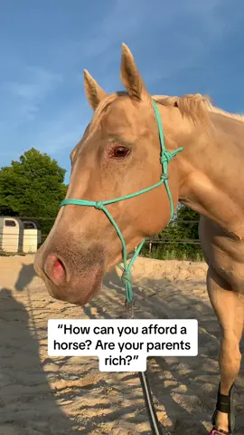 The life of an equestrian 🙈 #equestrainlife #westernhorse #horsegirlvibes 