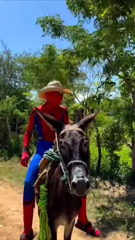 #parati #virial #fyp #spiterman 