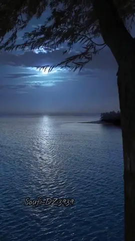 ايات قرآنية #قران  #آيات #الشيخ_ياسر_الدوسري  #تصميمي  #تلاوة_خاشعة_صوت_يدخل_قلب  #اجمل_صوت #مناظر_طبيعيه_رائعة 