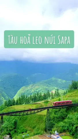 Tàu hoả leo núi Mường Hoa tại Sapa #checkinvietnam #canhdep #coffee #sapa #tauhoamuonghoa #xehetxang #phuot 