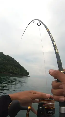 perhu saya sampai keseret di hajar ikan ini, ngerik seklai tarikannya  #mancingmania #mancingikan #mancingdilaut #mancingpopping 
