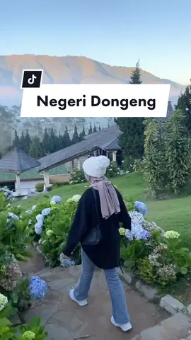 Vibes nya negeri dongeng ✨🍃 sudah pernah kesini? 📍Dieng video by aulia.panda  #followｍe #exploreindonesia #wonosobo #dieng #explorejogja #explorepage #wisatawonosobo #jateng #explorepage✨ #diengwonosobo #diengplateau 