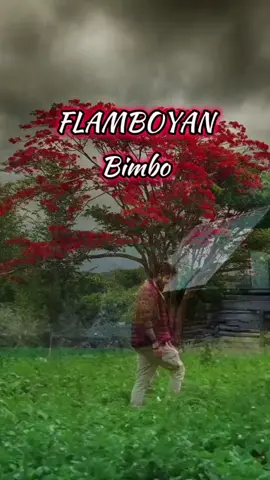 REQUEST @yulindiahediati - LAGU FLAMBOYAN-BIMBO-LIRIK #tiktokindonesia #fyp #fypシ #fypシ゚viral #70s #80s #90s #nostalgia90an #90sthrowback #lagu #music #liriklagu #laguviral #popular 