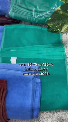 ✅ พร้อมส่ง ✅  ผ้าขนหนู ผ้าเช็ดผม เช็ดหัว รองหมอน รองนวด      สีเขียว สีน้ำเงิน สีขาว สีน้ำตาล  ผืนละ 60 บาท  โหลละ 650 บาท         🚚 1 โหลขึ้นไป ส่งฟรีทั่วไทย    🛒 ทางร้านมีบริการเก็บปลายทางไม่มีบวกเพิ่ม     👉🏻 ผลิตจากผ้าฝ้าย 100%     👉🏻 ขนาด 35*75 หนา 120 กรัม     👉🏻 ไม่เป็นขุย ดูดซับน้ำดี