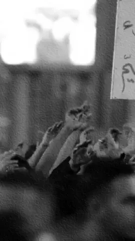 #حسين_فيصل #الحسين_ثورة_خالده #ميدو 