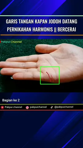 GARIS TANGAN PERNIKAHAN || BERAPA KALI MENIKAH || LAMA PERNIKAHAN || PERNIKAHAN HARMONIS ATAU BERCERAI. #pakpuichannel #garistanganjodoh #garistangankapanjodohdatang #garistanganjodohmu #garistangankesetiaan #jodoh #garistanganjodohsudahdekat #garistanganjodohbercabang #garistanganjodohmenurutislam #tandagaristanganjodoh #caramelihatgaristanganjodoh #garistangancarijodoh #garistangandapatjodoh #tandagaristanganjodoh #garistanganpernikahan