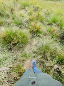 කියන්න බලන්න Place එක මොකද්ද කියල...🤓💝 #ftypシ #fyp #foryou #srilanka #pramu_003 #travel #hortonplains #traveler 