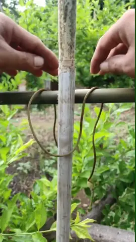 #viral #tips #lifehacks #usa #useful #LearnOnTikTok #satisfying #oddlysatisfying #ideatimes #foryou #fypシ 