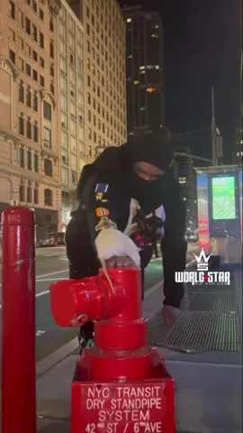 Only in NYC… 😩🐀😂 (via IG @carlito_tenflow) #Worldstar #Fyp #Nyc 