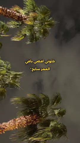 #fyp #foryou #explore #viral #اكسبلور #4u #اكسبلورexplore #مالي_خلق_احط_هاشتاقات #قصايد #شاعر_المليون #عبدمجيدعبدلله #قصايد_شعر_خواطر #خالد_عبدالرحمن #محمد_بن_فطيس #شاعر #غريب #خلوني_اقضيء_باقيء_العمرء_سايح 