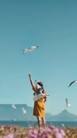 #كلمات_قوية_شامخه #كلماتي_للعقول_الراقية_فقط 🎶🎼🎶💐#ارمام_بلتركي 