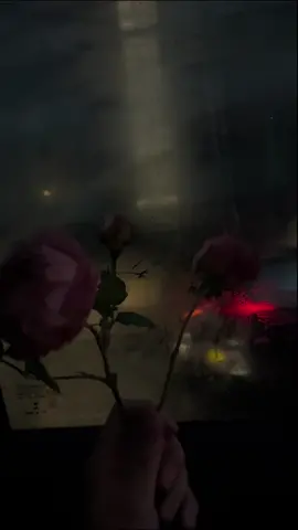 🥀🌌 night flowers #flowers #aesthetic #flowerlover #Love #night #cars #nightlife #car #rose #roses #dark #nightcore #fyp 