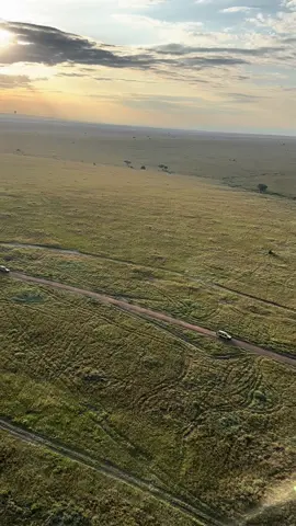 Kenya, you are truly magical. Memories to cherish forever 🍯🌙  #honeymoon #kenya #safari #maasaimara #masaimara #naboishoconservancy #traveltiktok #travelbucketlist 