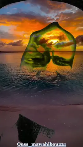 ❤️🚶🏿‍♂️#pourtoi #senegalaise_tik_tok #mouride_sadikh_officiell #mouride #lyrics #khassidayi_rek #foryou #fyp #fypシ @a k n @𝑻𝑶𝑼𝑩𝑨 𝑿𝑨𝑺𝑺𝑰𝑫𝑨 @AHMADOUNA🥰📎 @𝐀𝐇𝐌𝐀𝐃𝐎𝐔 𝐌𝐁𝐀̀𝐂𝐊𝐄💫 