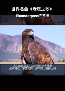 #Elcondorpasa #老鹰之歌 #音乐 #Music #印第安音樂 #1965July23  🐚 #大自然  