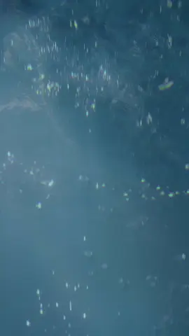 [DY] Đẹp quá bé Ni 😊#tontranni #LearnOnTikTok #sunzhenni孙珍妮 