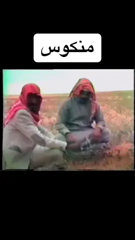 #عامر_بن_نوطان #فن #شيلات #منكوس_مسحوب #الشعب_الصيني_ماله_حل😂😂 