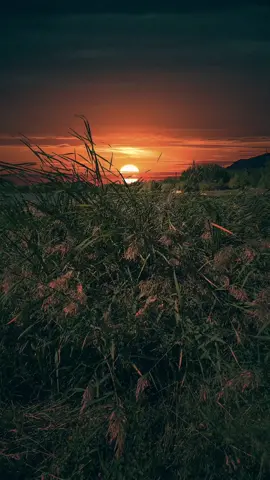 Goodnight my friends#CapCut #views #scenery #travel #night 