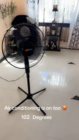 #animal#dog#of#tiktok#too#hot#fypシ 