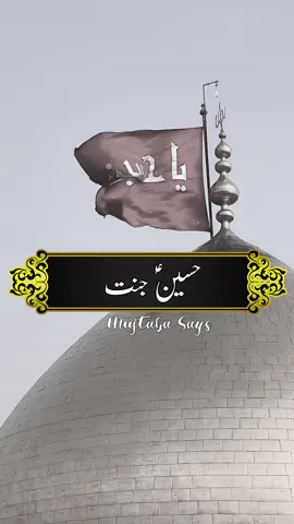 Hussain AS Jannat Da Badshah Ay🌹 | Best Poetry 🌺 #imamhussain  #waqiakarbala  #muharranstatus  #karbala  #bestpoetrystatus  #muharrampoetrystatus  #bestmuharramstatus
