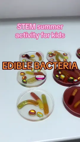 School’s out for summer 🌊☀️  Your kids love science and are bored on a vacation? 💗 🧫  We got you!  For this edible bacteria experiment you will need: Coloured Gelatin powder Sugar Plastic petri dishes Candy First you make a jello and wait for it to cool down, and than pour it into a petri dish and wait for 10 minutes. Add candies to the gelatin once it is hardened to create your bacteria. Kids can make their own germs candy while exploring the shape and texture of actual bacteria in this way. It's a great project to work on even though this goes against the golden rule of lab safety: NEVER EAT ANYTHING THAT COMES OUT OF THE LAB! So remember, this is only for entertainment purposes; genuine germs are not edible. #biotechnology #microbiology #bacteria #ediblebacteria #lab #stem #Summer #kidsfriendly #kidsfriendlyexperiment 