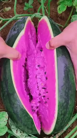 Pink watermelon 🍉 #watermelon #asmr #asmrvideo #asmrtiktoks #foryou 