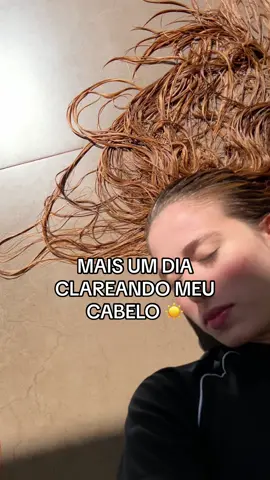 #loirosaudavel #clareador #cabelo #blonde #loira #cabeloslongos #cabeloliso #cabeloloiro #clareandocabelo #fy #fyp 