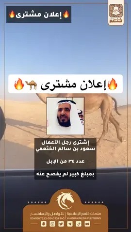 #خثعم #ابل #منقيات #مزاين_الابل 