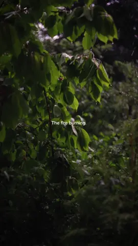 On my way #alanwalker #sabrinacarpenter #slowedsongs