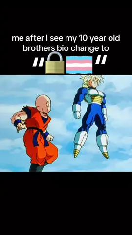 filter lockout please #dbz #dbzmeme #meme #lilbro #trunks #fyp #fy #fypシ #anitok #thermoplyaes 