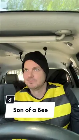 Son of a Bee is getting out of hand #sonofabee #roadrage #funny 
