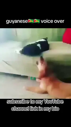 #guyanese #javy_tiktok #foryou #caribbean 