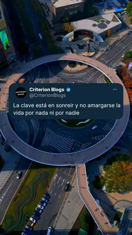 SONRIE ERES UNA GRAN PERSONA, NO TE DES MALA VIDA POR NADIE❤️🚀 #videotiktok #criterionblogs #aceptacion #sonrisa #actitud 