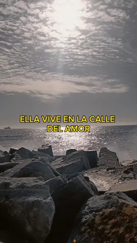 The Doors - Love Street ❤️ . . #thedoors  #thedoorsband  #lovestreet  #traducidas #rockenespañol #heythismusic #sad #traducciones #rolitas #rolitastraducidas #letrasenespañol  #foryou #Love